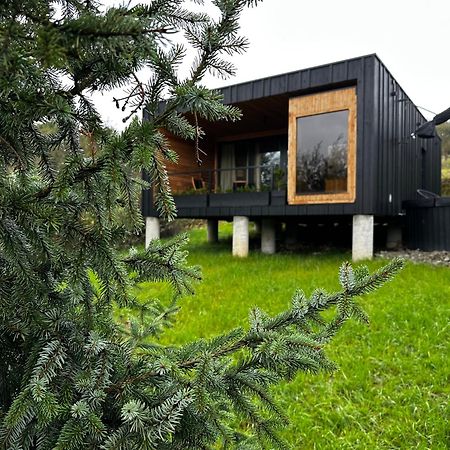 Brown Deer - Z Sauna Na Tarasie, Jacuzzi I Widokiem Na Gory - By Deer Hills Luxury Apartments Kocon Exteriör bild